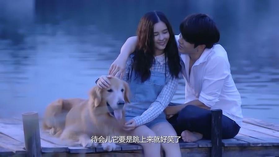 春节出游必备!周口多景区最新入园指南汇总→